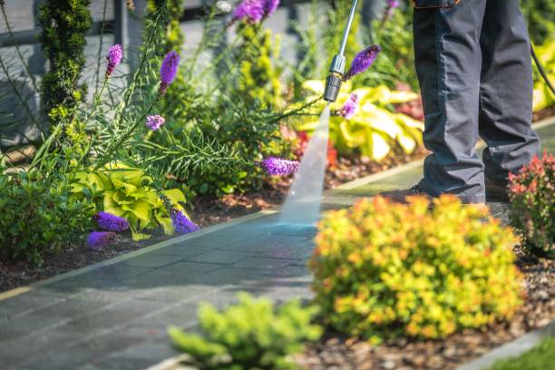 Best Post-Construction Pressure Washing  in Leadville, CO